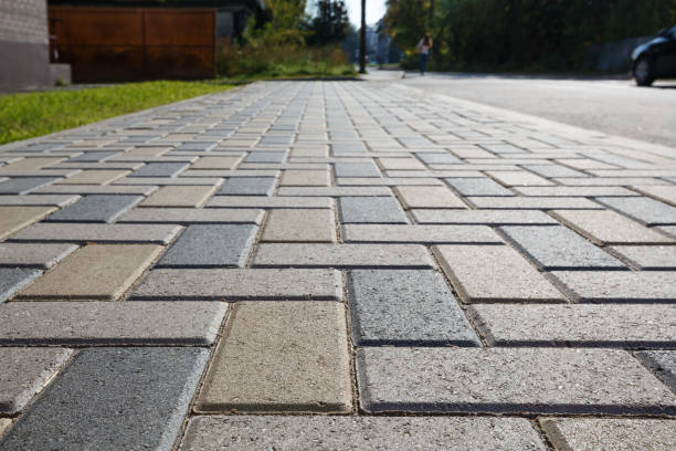 Best Residential Driveway Paver Services  in Blackville, SC