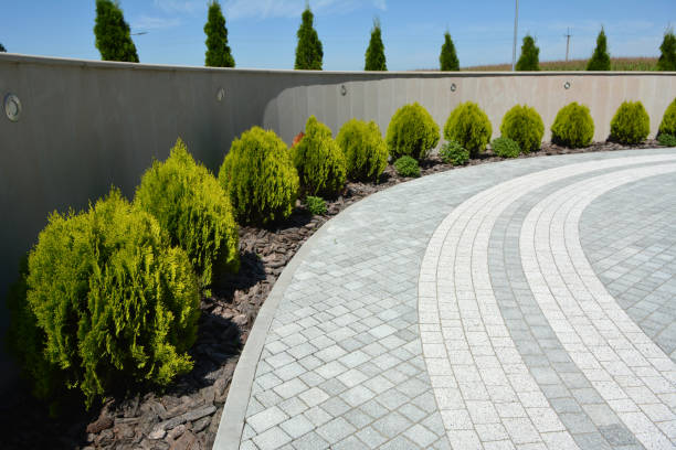 Best Affordable Driveway Pavers  in Blackville, SC